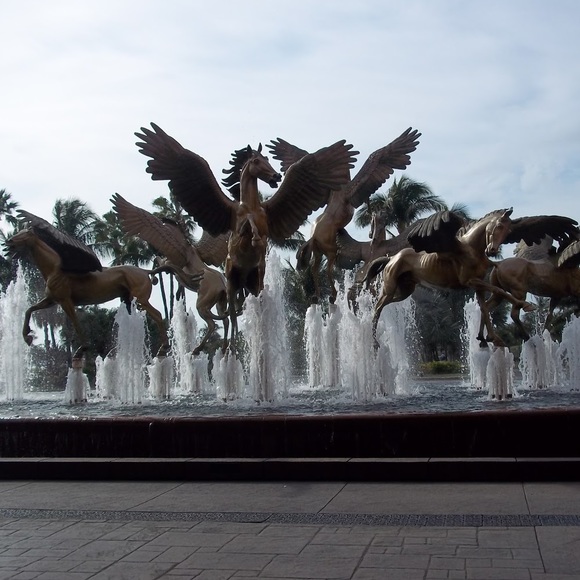 Meet your Posher, Frederick - Picture 1 of 1